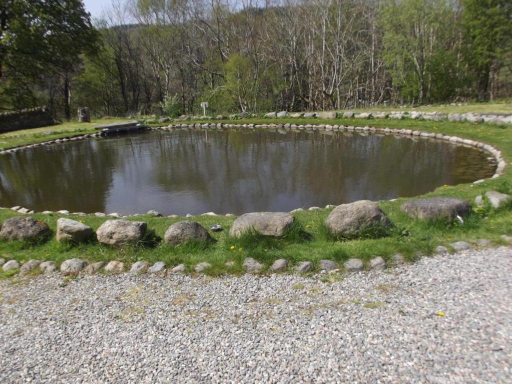 Cosy Ground Floor Disabled Friendly Room In Farm House Llandderfel Екстериор снимка