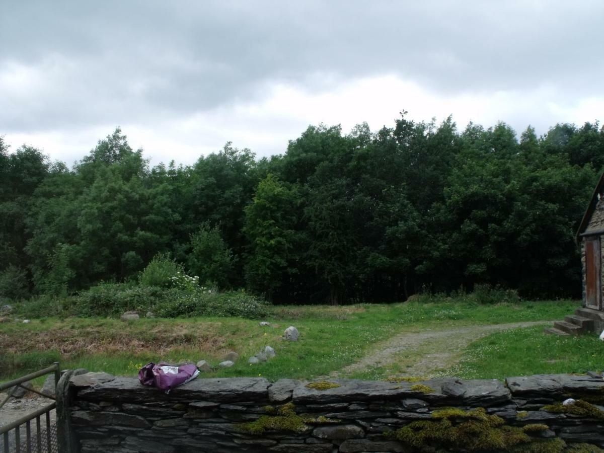 Cosy Ground Floor Disabled Friendly Room In Farm House Llandderfel Екстериор снимка