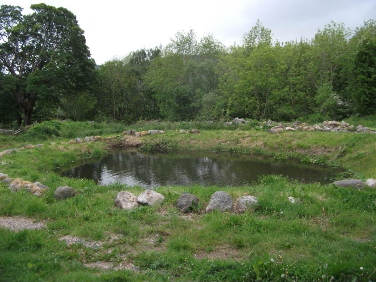 Cosy Ground Floor Disabled Friendly Room In Farm House Llandderfel Екстериор снимка
